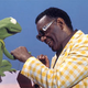 Illustration for article titled Remember Sesame Street Before Elmo Ruined It?